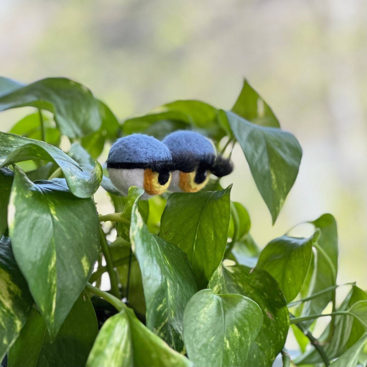 Felt Planter Eyeballs with Eyelashes