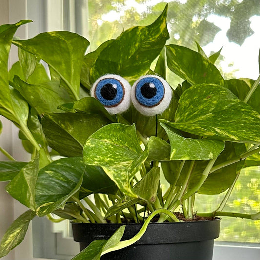 Plant Eyeballs- Choose your colors and quantity