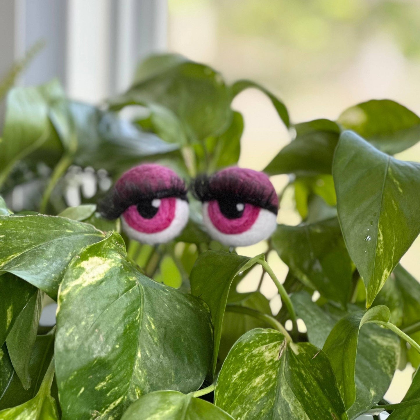 Felt Planter Eyeballs with Eyelashes