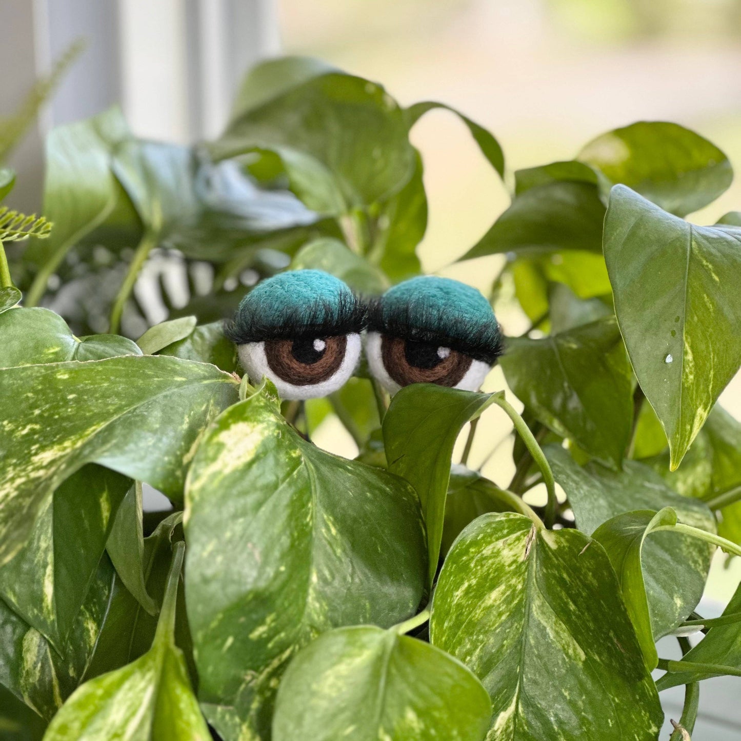 Felt Planter Eyeballs with Eyelashes