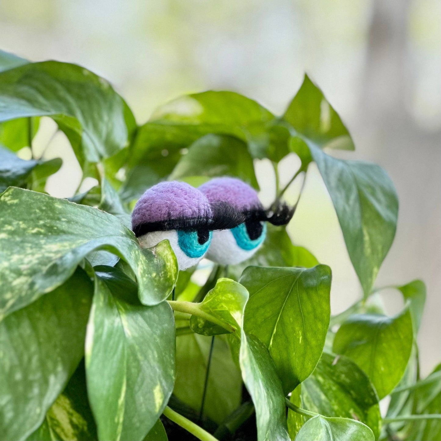 Felt Planter Eyeballs with Eyelashes