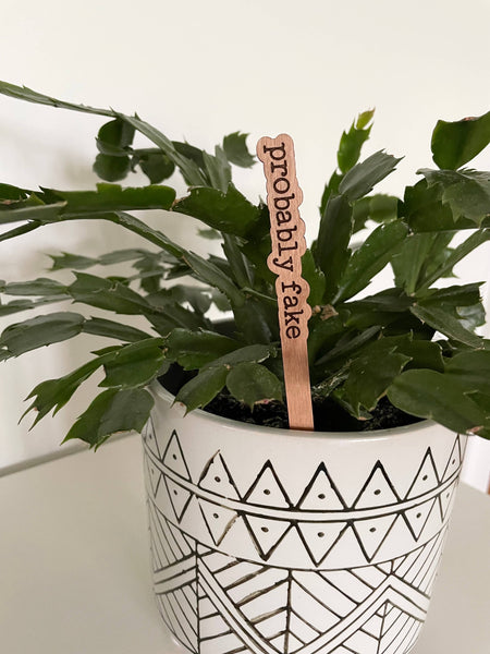 Punny Plant Stakes/ Funny Plant Markers: I need a drink