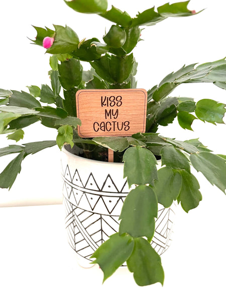 Valentines Day Funny Plant Signs: Plant One on Me