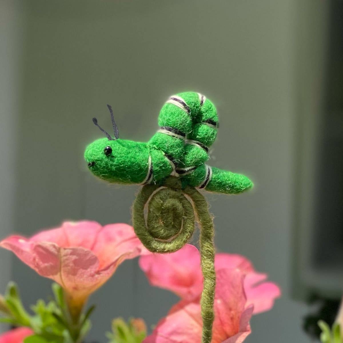 Inchworm Frond Friend