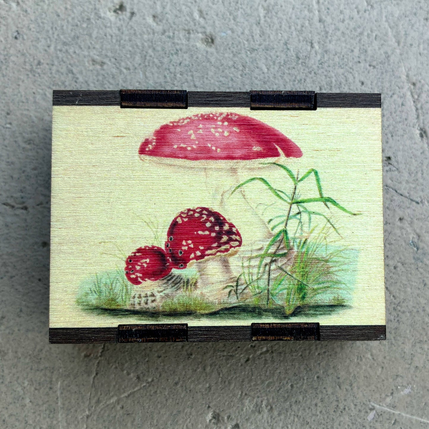 Matches • Mushroom Toadstool Wooden Matchbox • Home Decor