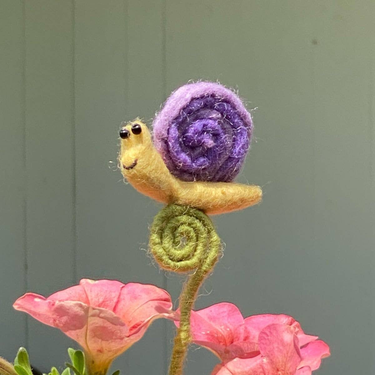 Snail Frond Friend