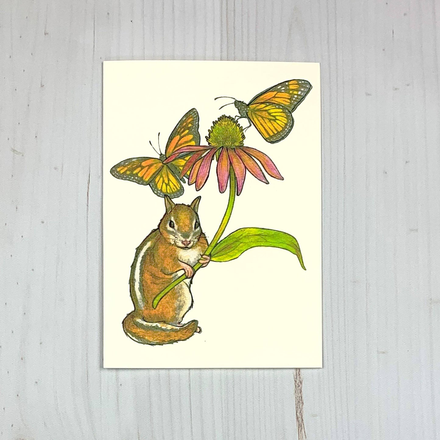 Chipmunk Coneflower Monarch 5x7" Notecard