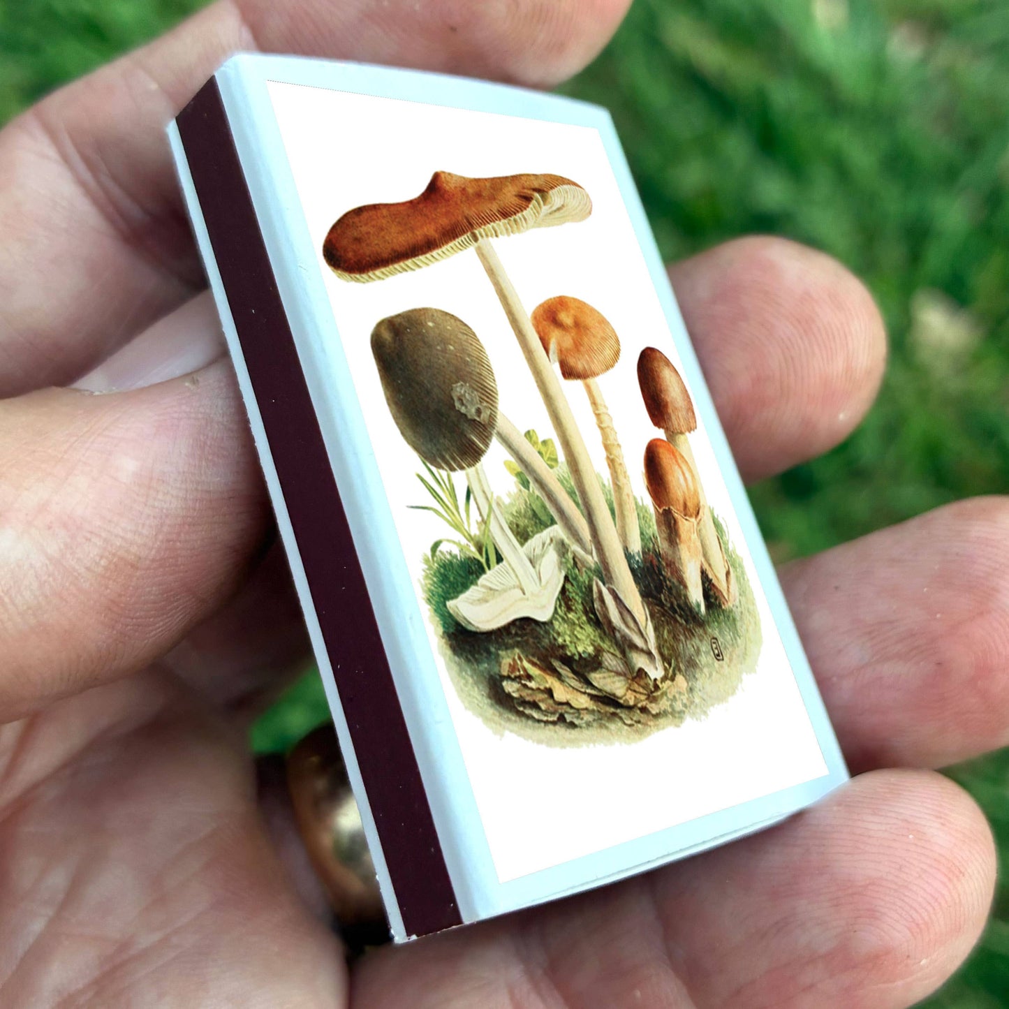 Matches • Tawny Mushroom • Home Decor for Candles & Incense