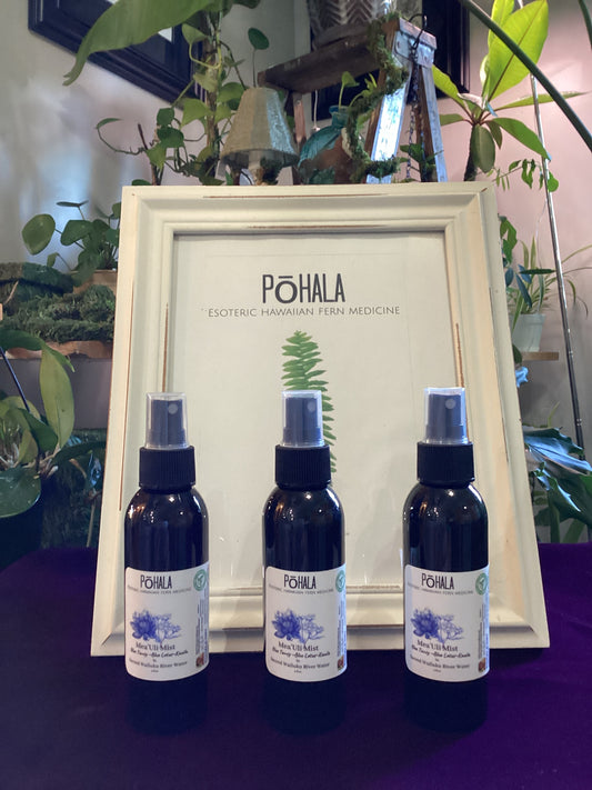 Pohala Mea ʻUli Mist