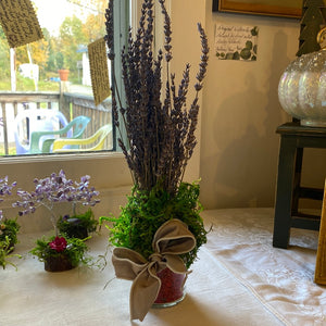 Local Lavender Arrangements