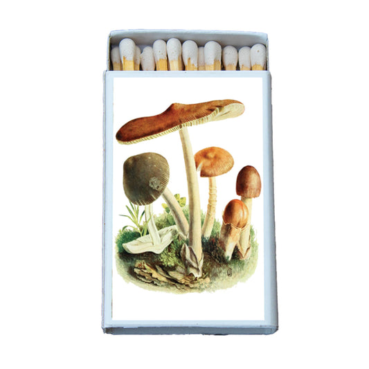 Matches • Tawny Mushroom • Home Decor for Candles & Incense