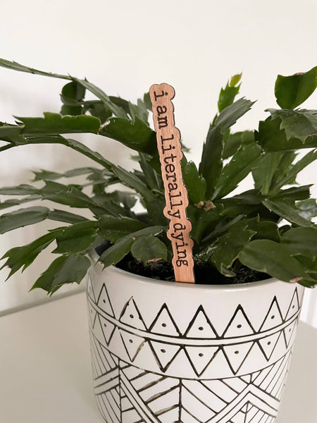 Punny Plant Stakes/ Funny Plant Markers: I need a drink
