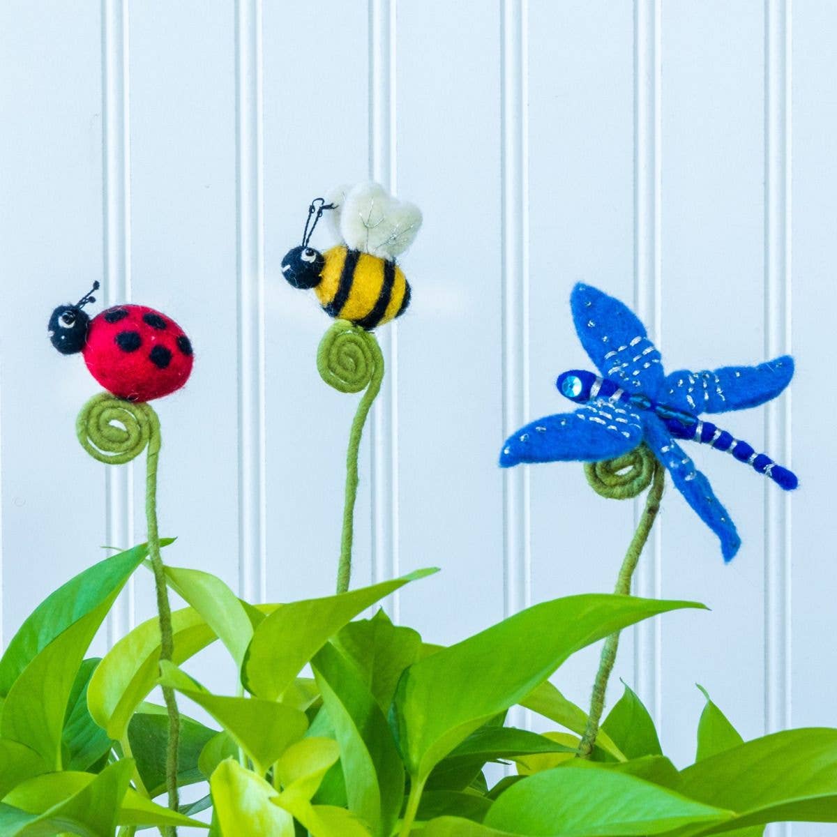 Ladybug Frond Friend