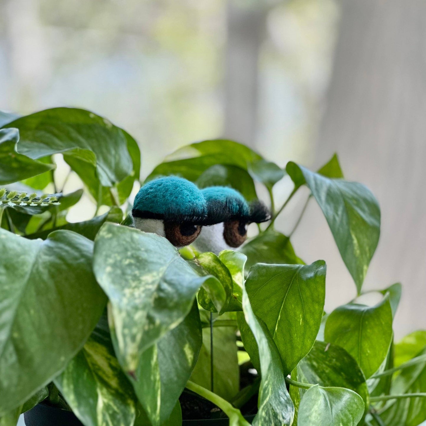 Felt Planter Eyeballs with Eyelashes 