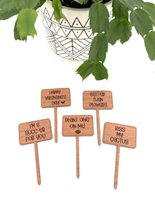 Valentines Day Funny Plant Signs: Plant One on Me