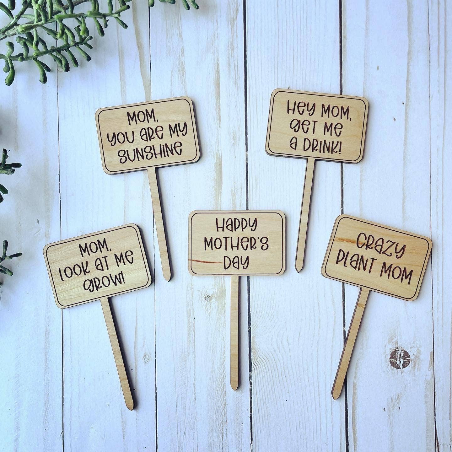 Mothers Day Funny Plant Signs: Crazy Plant Mom